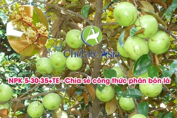 NPK 5-30-35+TE - Chia sẻ công thức phân bón lá