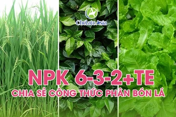 NPK 6-3-2+TE – Chia sẻ công thức phân bón lá