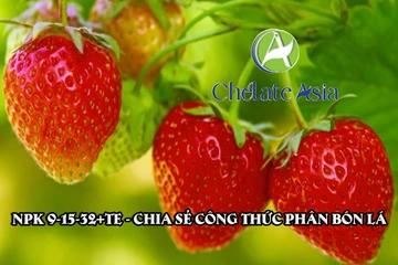 NPK 9-15-32+TE - Chia sẻ công thức phân bón lá