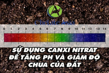 Sử dụng Canxi Nitrat để tăng pH và giảm độ chua của đất