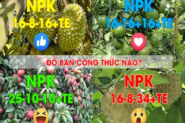 NPK 16-8-34 + TE Tính công thức phân bón tự phối trộn theo yêu cầu khách hàng