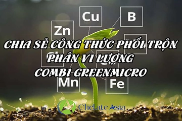 Phân vi lượng Combi Greenmicro – Chia sẻ công thức phối trộn