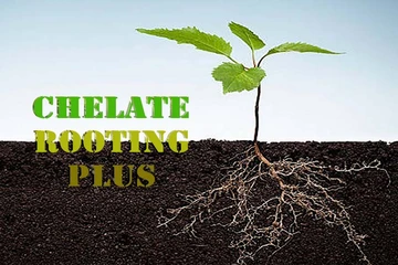 CHELATE ROOTING PLUS hàng Việt chất lượng Châu Âu