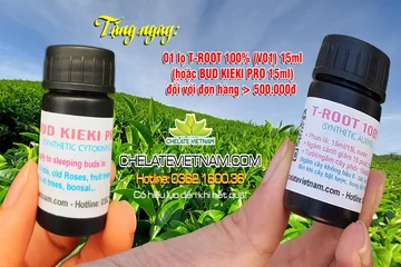 Tặng ngay 1 lọ T-ROOT 100% V01 15ml hoặc T-BUD KIEPRO 15ml đối với đơn hàng > 500.000đ