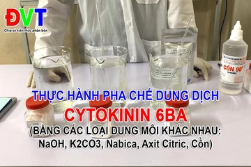 Video thực hành pha chế Cytokinin 6BA bằng 5 loại dung môi (NaOH, K2CO3, Nanica, Axit Citric, Cồn)