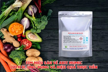 Tìm hiểu sâu về Axit Humic: Lợi ích, ứng dụng và hiệu quả thực tiễn