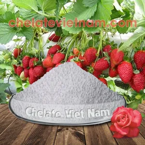 Kali Cacbonat (K2CO3 - Kali 'hữu cơ') K2O = 68%