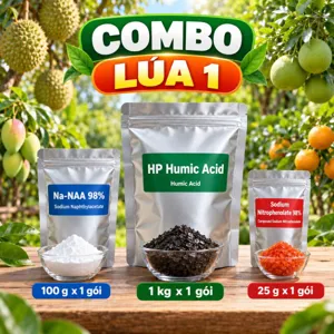 COMBO LÚA 1 – Bộ nguyên liệu tham khảo ngâm ủ giống, hỗ trợ nảy mầm và ra rễ giai đoạn mạ cho lúa