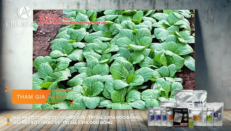 Cuộc thi ảnh Chelate và Nông nghiệp Việt Nam (lần 1)