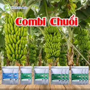 Bộ nguyên liệu Combo COMBI 06 gồm sắt, kẽm, mangan, đồng chelate EDTA, Solubor và amoni molipdat cho cây chuối