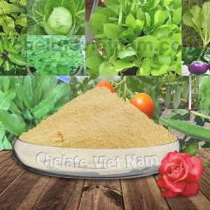 Amino Acid 45% (Axit Amin) dạng bột tan 100%