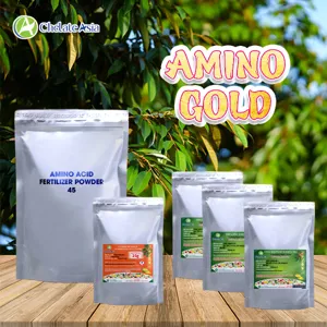 Bộ nguyên liệu Combo Amino Gold gồm axit amin 45%, chelate magie, kẽm, sắt và Compound Sodium Nitrophenolate
