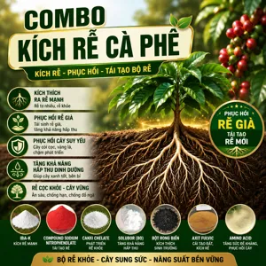 Bộ nguyên liệu Combo Kích rễ cà phê gồm IBA-K, Amino Acid, Fulvic, rong biển, Canxi EDTA và Bo