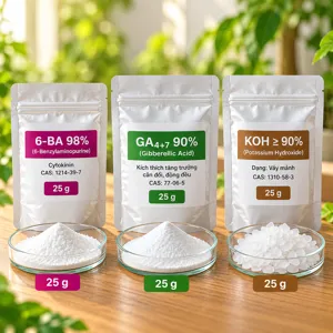 COMBO 6BA-GA4/7 – Bộ nguyên liệu tham khảo hỗ trợ bật chồi, đậu quả và cải thiện hình dạng quả