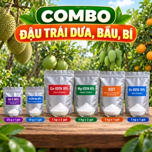COMBO ĐẬU TRÁI DƯA, BẦU, BÍ – Bộ nguyên liệu tham khảo hỗ trợ thụ phấn, đậu trái và bổ sung trung vi lượng cho họ bầu bí