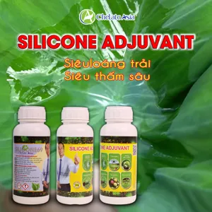 SILICONE ADJUVANT tăng khả năng lan trải, thẩm thấu hoạt chất trên bề mặt lá