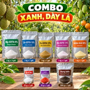 COMBO XANH, DÀY LÁ – Bộ nguyên liệu tham khảo dưỡng lá, bổ sung trung vi lượng và hỗ trợ phục hồi cây