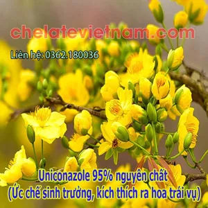 Uniconazole 95% nguyên chất (Ức chế sinh trưởng, kích thích ra hoa trái vụ)