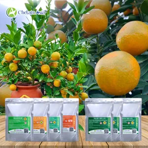 Bộ nguyên liệu Combo Quất (tắc) gồm GA3 40%, Brassinolide, DA-6, Atonic, Mg-EDTA, Zn-EDTA và Solubor