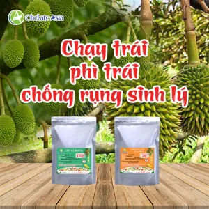 Bộ nguyên liệu Combo Chạy trái gồm Cytokinin CPPU KT-30 99% và Gibberellic Acid GA3 90%