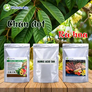 Bộ nguyên liệu Combo chặn đọt CCC gồm Chlormequat chloride, kẽm chelate Zn-EDTA và kali humate