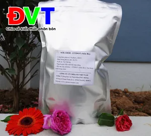 Solubor - DOT (Siêu Bo) Thổ Nhĩ Kỳ - Tan trong nước