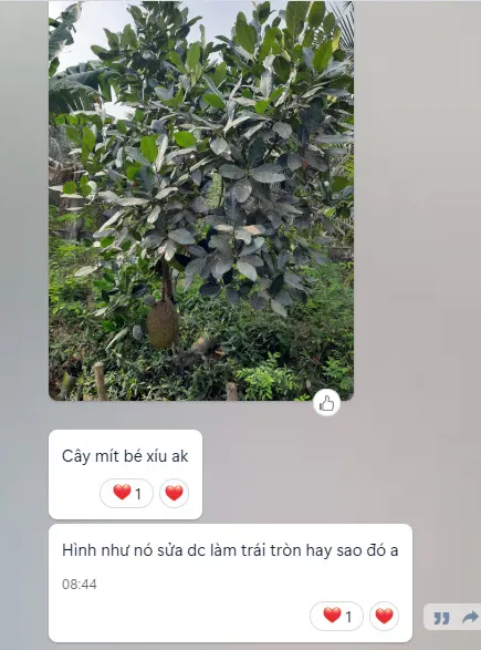 Ý kiến khách hàng Lê Hữu Trực 02