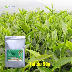 Cytokinin Zeatin 0.1%SP (Siêu kích chồi, chiết xuất từ lõi ngô)