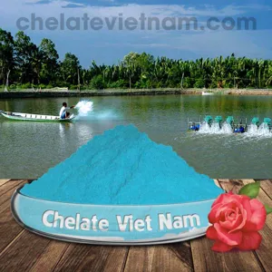 Vi lượng Đồng Chelate (Cu-EDTA-15) tan hoàn toàn trong nước