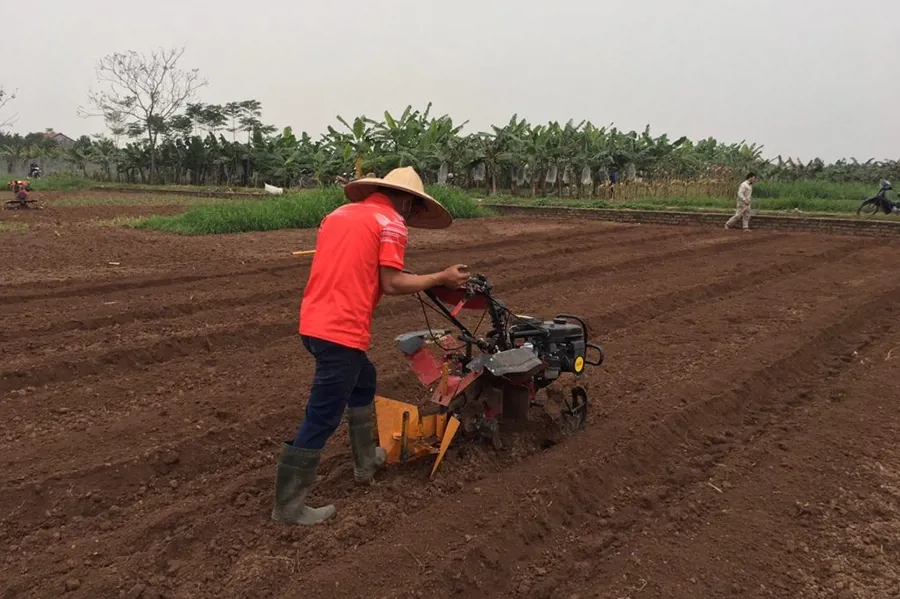 xử lý đất chai cứng sau thu hoạch