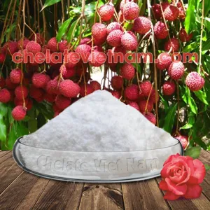 4-CPA-Na 98% (Chống phân tầng rời, hạn chế rụng trái non) 4CPA-NA