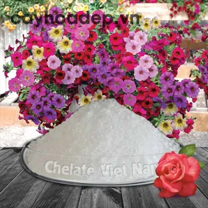 Chlormequat clorua, Cycocel CCC  98% (Ức chế sinh trưởng, tạo dáng hoàn hảo)