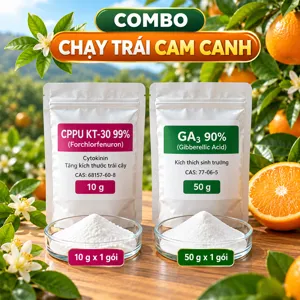 COMBO CHẠY TRÁI CAM CANH – Bộ nguyên liệu tham khảo hỗ trợ đậu trái, hạn chế rụng trái non trên cây có múi