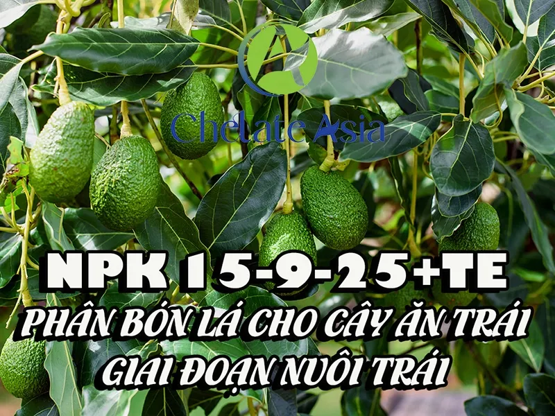 NPK 15-9-25+TE Phân bón lá cho cây ăn trái – Giai đoạn nuôi trái