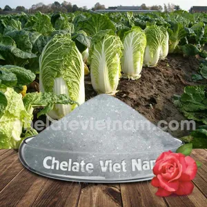 Canxi Nitrat cấp phân bón (5Ca(NO3)2.NH4NO3.10H2O) CaO = 26%; N = 15,5%