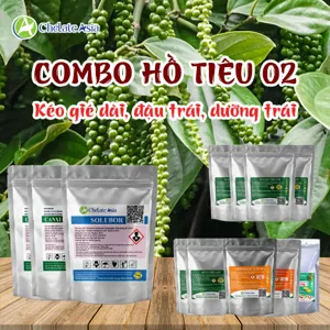 Bộ nguyên liệu combo hồ tiêu 02 gồm canxi chelate, Solubor, magie, kẽm chelate, GA3, Na-NAA, DA-6 và Atonic