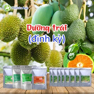 Bộ nguyên liệu Combo Dưỡng Trái Định Kỳ gồm DA-6, Triacontanol, Nitrophenolate, Ca-Mg-Zn chelate và Solubor
