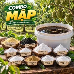 Bộ nguyên liệu COMBO MẬP gồm DA-6, Triacontanol, các chelate trung vi lượng, Solubor, amino acid và bột rong biển