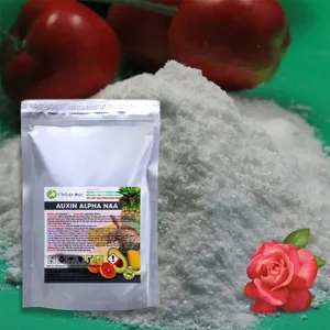 Auxin Alpha NAA Ấn độ 99% (Chất kích thích ra rễ)