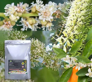 4-CPA-Na 98% (Chống phân tầng rời, hạn chế rụng trái non) 4CPA-NA