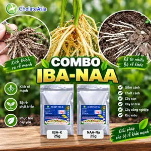 Bộ nguyên liệu Combo IBA-NAA gồm gói Auxin IBA-K 98% và Auxin Na-NAA 98%