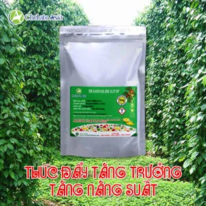Brassinolide 0.15% SP (Giải độc cây trồng) Hormone thực vật tan trong nước