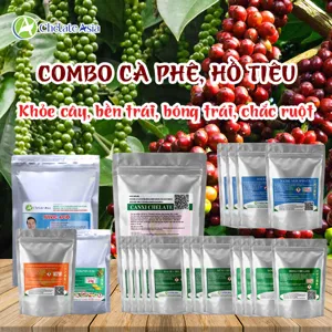 Bộ nguyên liệu Combo dưỡng trái cà phê – hồ tiêu gồm các chelate vi lượng, Solubor, axit fulvic và DA-6