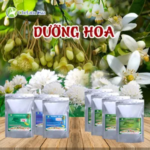 Bộ nguyên liệu Combo Dưỡng hoa gồm Solubor, canxi chelate Ca-EDTA và Cytokinin DA-6