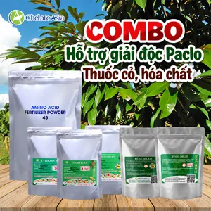 Bộ nguyên liệu Combo Giải Độc gồm GA3, DA-6, vitamin B1, axit amin 45% và kẽm, mangan chelate