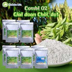 Bộ nguyên liệu Combo COMBI 02 gồm Ca-EDTA, Mg-EDTA, Fe-EDTA, Zn-EDTA, Mn-EDTA, Cu-EDTA và Solubor