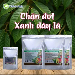 Bộ nguyên liệu Combo chặn đọt xanh dày lá gồm Uniconazole 95%, kẽm chelate và magie chelate