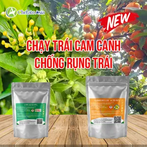 Bộ nguyên liệu Combo Chạy Trái Cam Canh gồm gói GA3 90% và CPPU 99%
