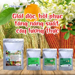 Bộ nguyên liệu Combo Rutin gồm Rutin 98%, bột rong biển, Vitamin B1, Kẽm Chelate Zn-EDTA và GA3 40%