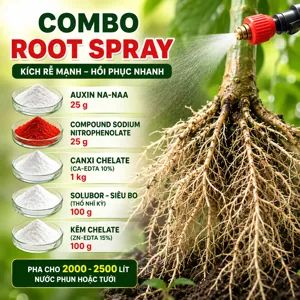 Bộ nguyên liệu combo ROOT SPRAY gồm Na-NAA, Compound Sodium Nitrophenolate, canxi chelate, Solubor và kẽm chelate